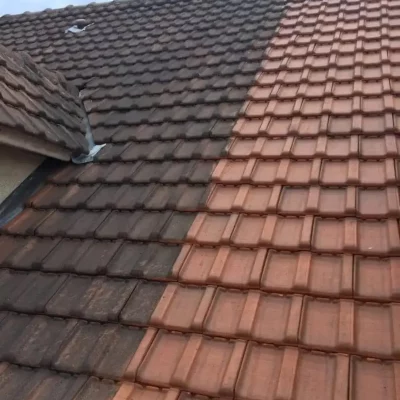 Démoussage toiture Hauts-de-Seine